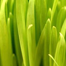 怎么ddos攻击游戏服务器