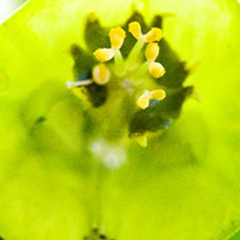 正品直销的DDOS接单平台